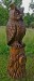 IMG_20250606_064652 u m